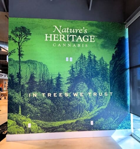 Window and Wall Graphics